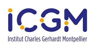 logo_icgm_3.jpg